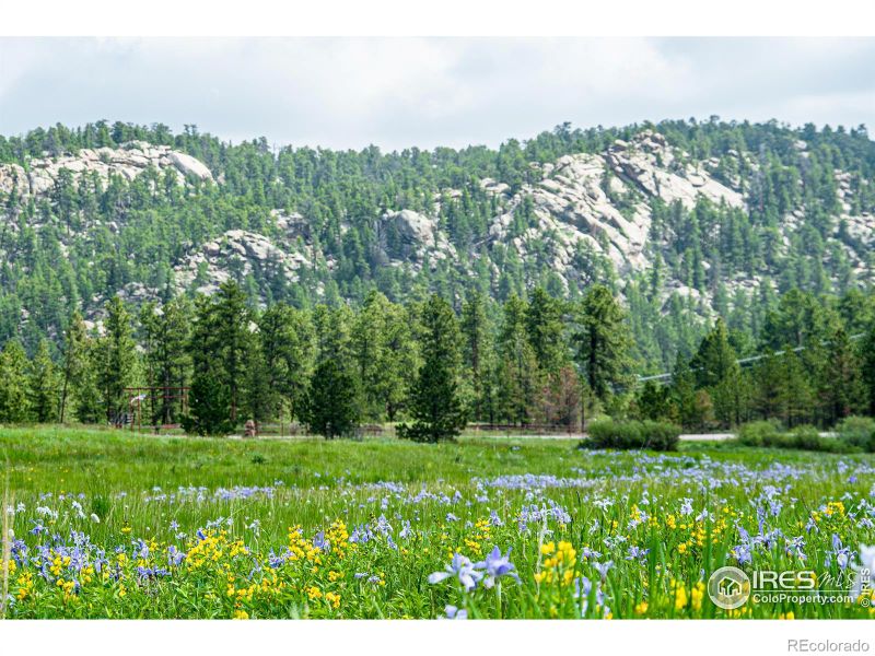 18301 W County Road 74e, Red Feather Lakes, CO 80545