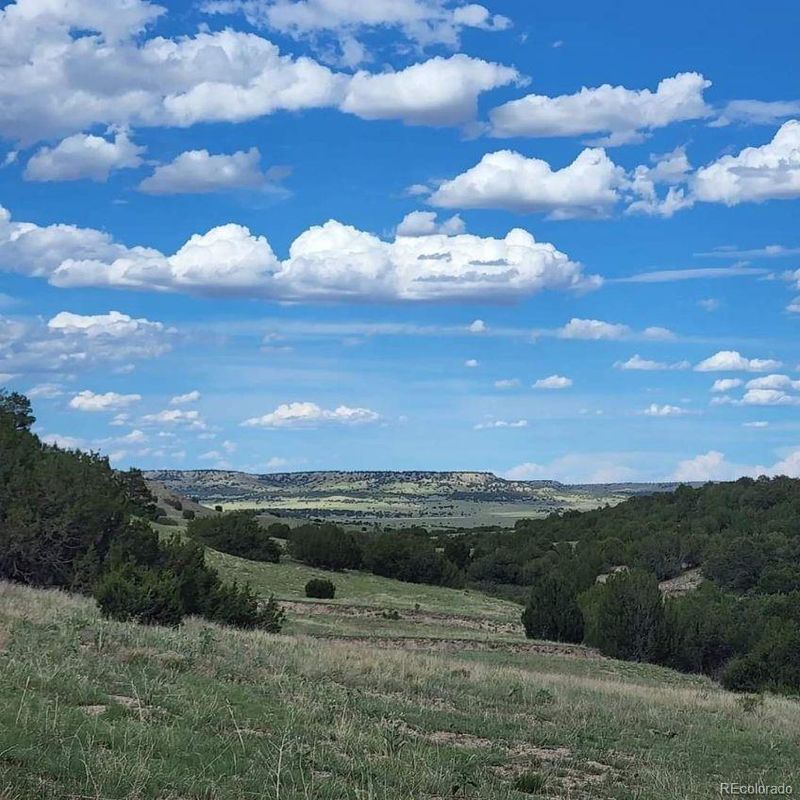 Willow Spring Dr, Pueblo, CO 81004