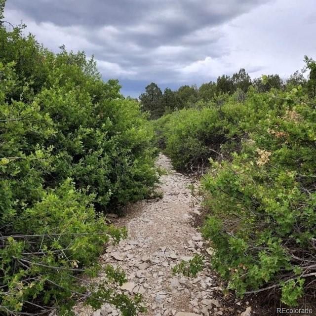 Willow Spring Dr, Pueblo, CO 81004