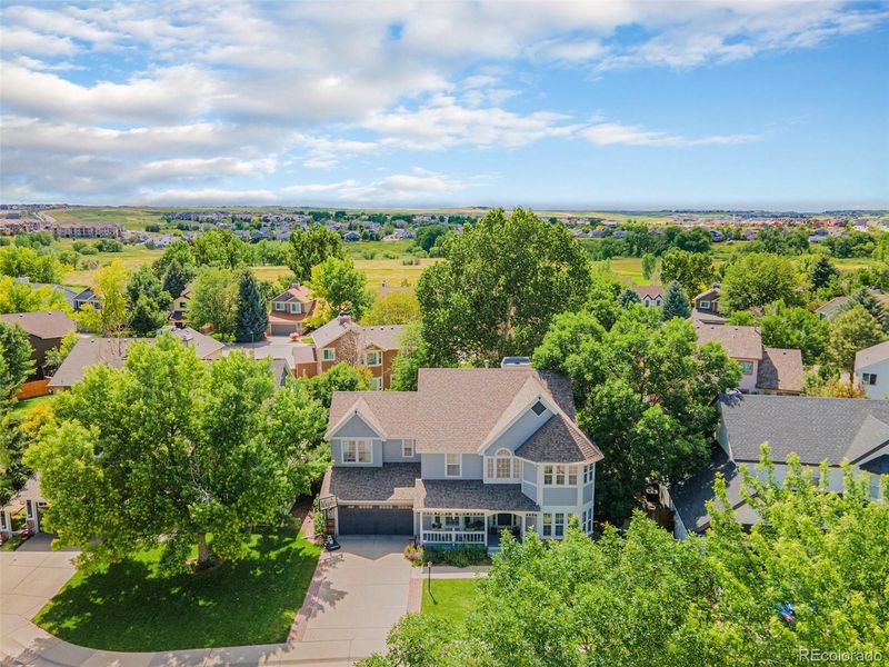 12839 S Crazy Horse Ct, Parker, CO 80134