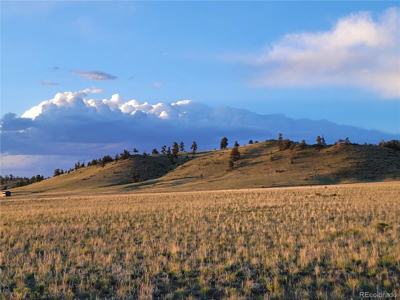 1604 Clear Creek Rd, Hartsel, CO 80449