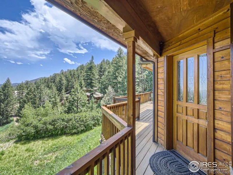 1091 Magnolia Dr, Nederland, CO 80466