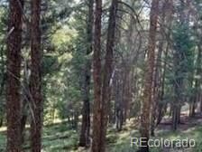 000 Beaver Ln Lot 18, Grant, CO 80448