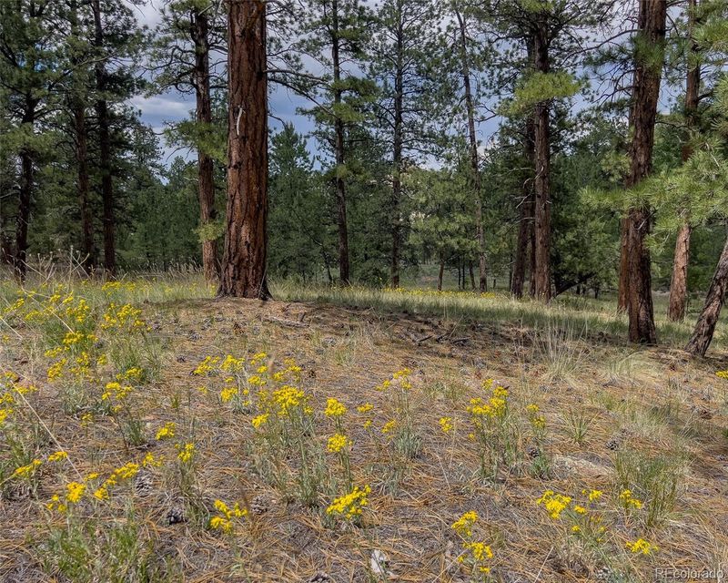 440 Wykagyl Rd, Westcliffe, CO 81252