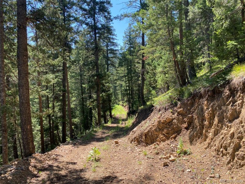 11683 S Maxwell Hill Rd, Littleton, CO 80127