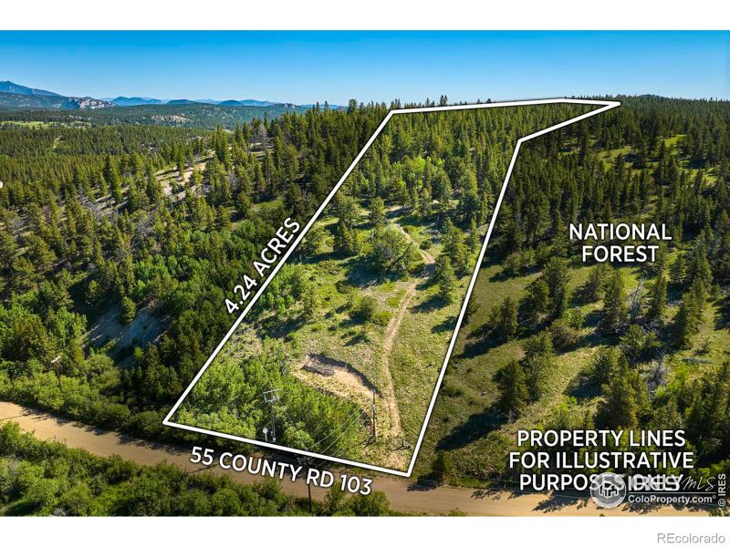 55 County Road 103, Ward, CO 80481