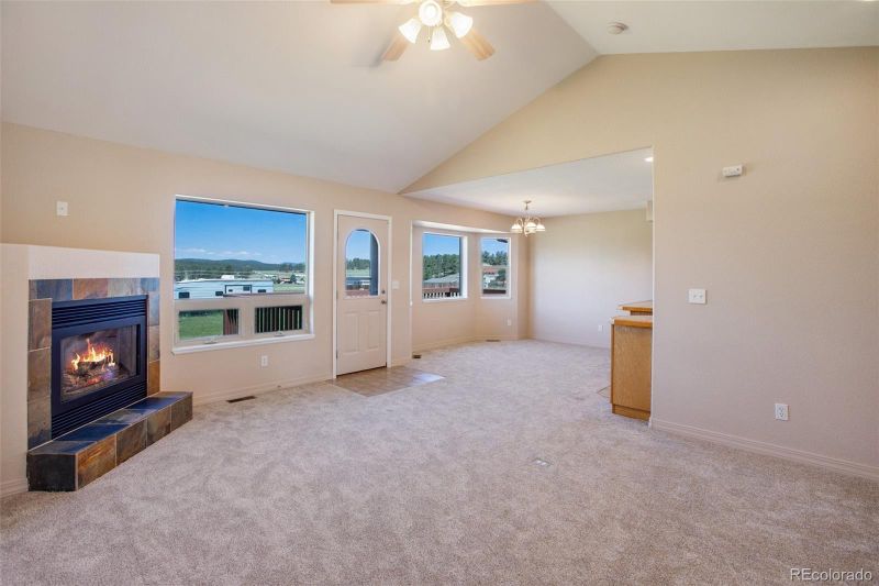 471 Due South Rd, Florissant, CO 80816