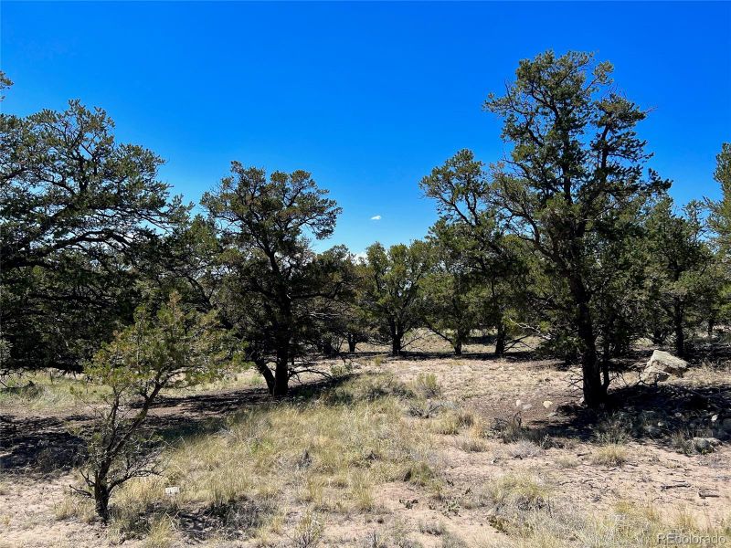 4348 Ridgecrest Ct, Crestone, CO 81131