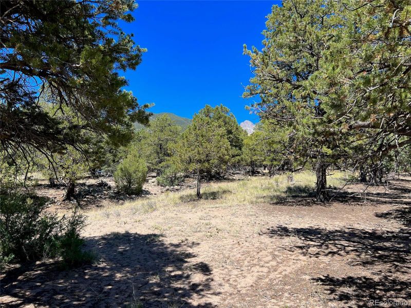 4348 Ridgecrest Ct, Crestone, CO 81131