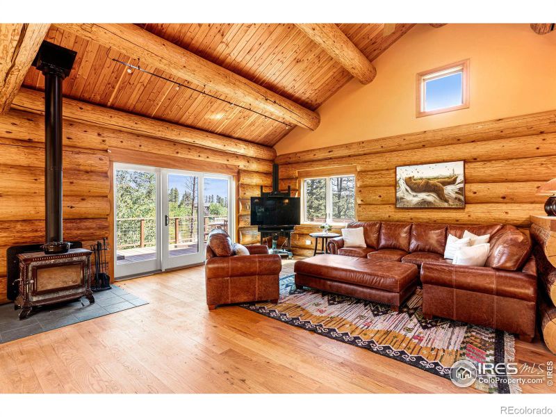 734 Pine Cone Cir, Ward, CO 80481