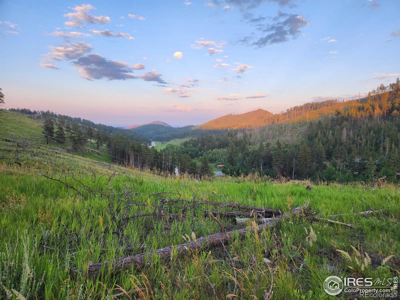 13000 Rist Canyon Rd, Bellvue, CO 80512