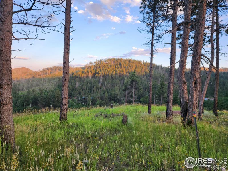 13000 Rist Canyon Rd, Bellvue, CO 80512