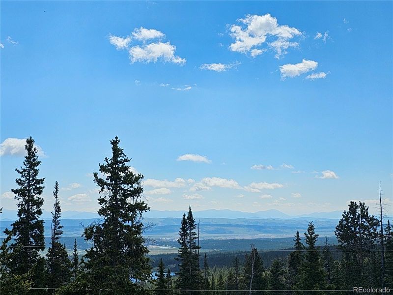 353 El Lobo Ln, Fairplay, CO 80440