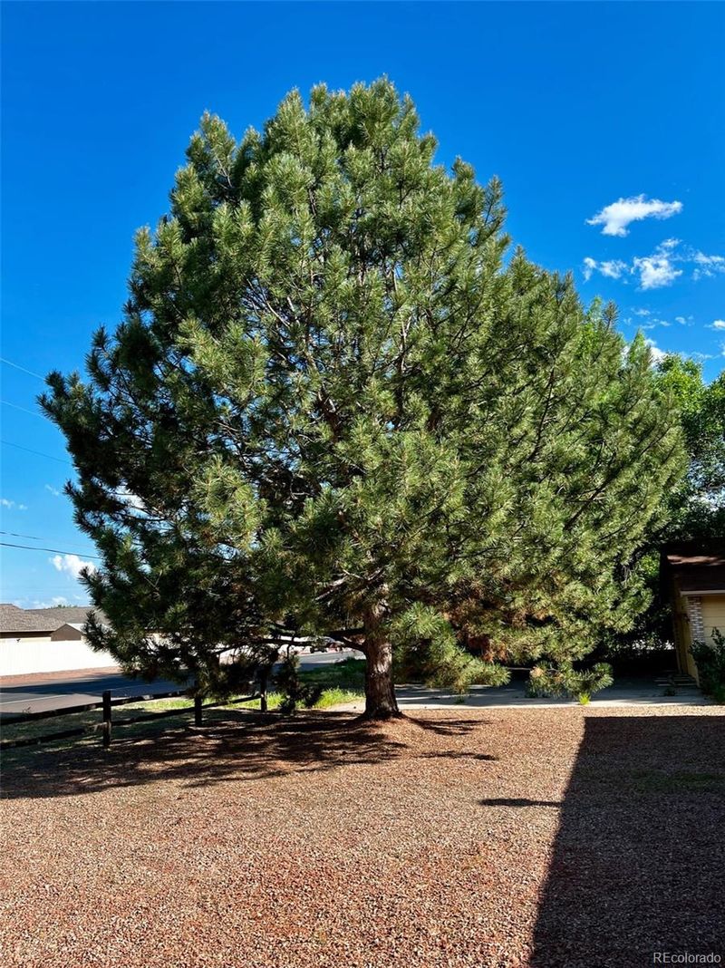 153 S Raynolds Ave, Canon City, CO 81212
