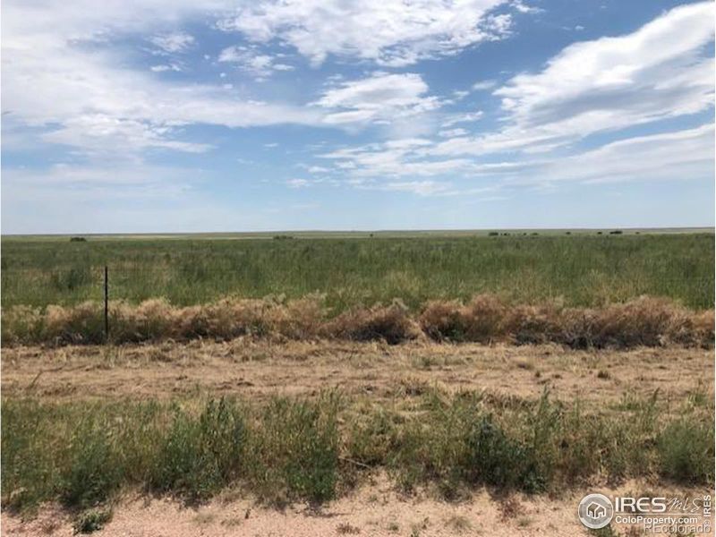 21001 County Road 96, Pierce, CO 80650