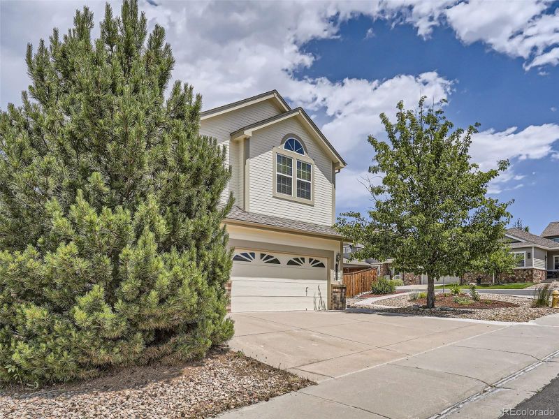 923 Dales Pony Dr, Castle Rock, CO 80104