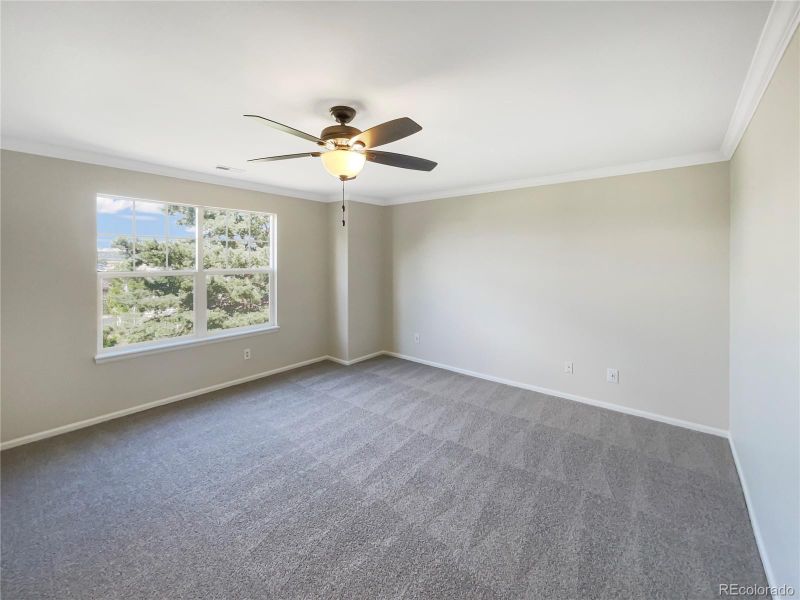 4167 Miners Candle Pl, Castle Rock, CO 80109