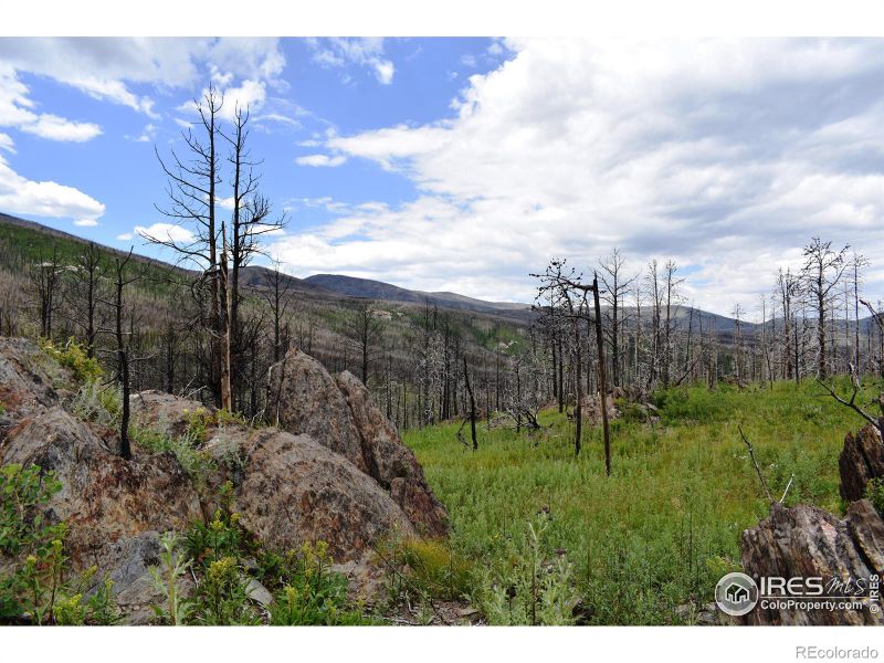 0 Powder Horn Trl, Bellvue, CO 80512