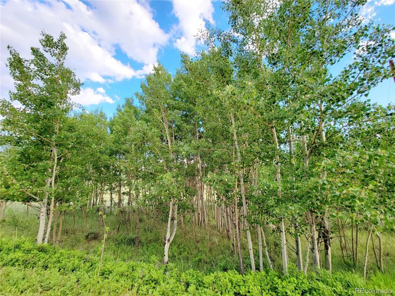 1144 Overland Cir, Jefferson, CO 80456