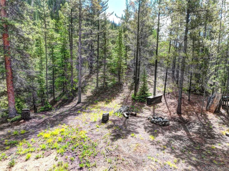 0 Co Road 801, Fairplay, CO 80440