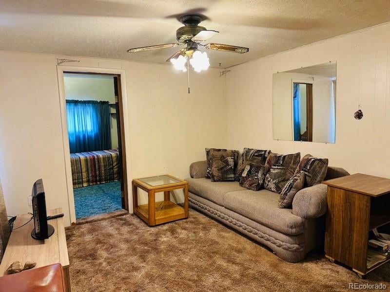 435 Oak St, Del Norte, CO 81132