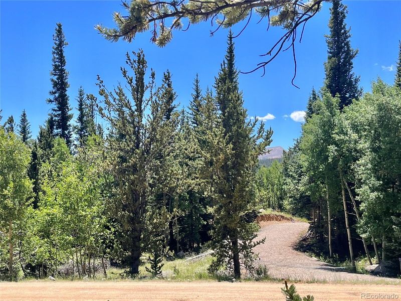 845 Adventure Rd Lot 16, Alma, CO 80420