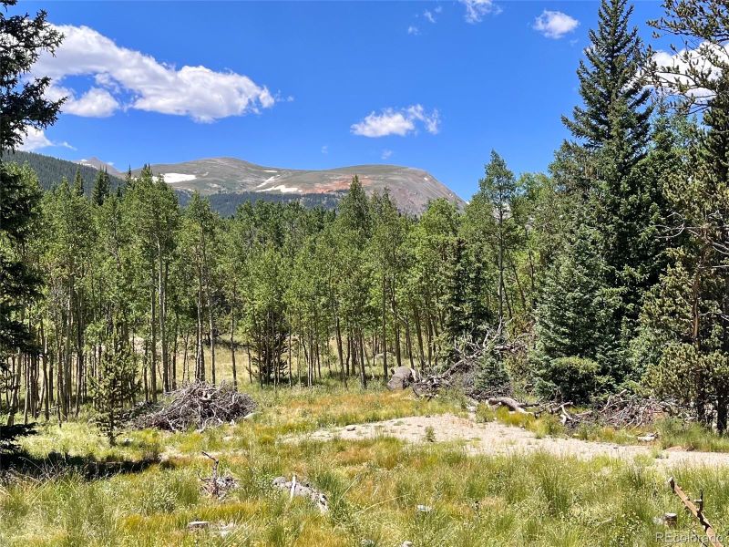 845 Adventure Rd Lot 16, Alma, CO 80420