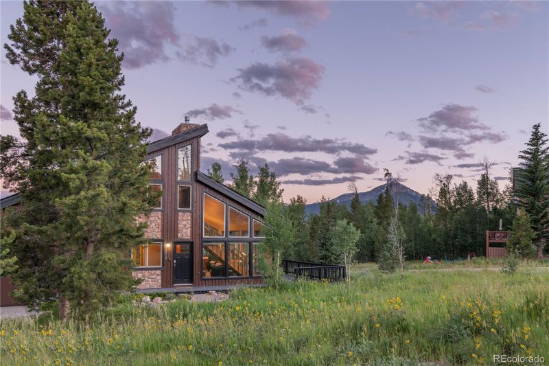 376 Royal Redbird Dr, Silverthorne, CO 80498