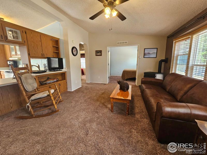 1277 Ottawa Way, Red Feather Lakes, CO 80545