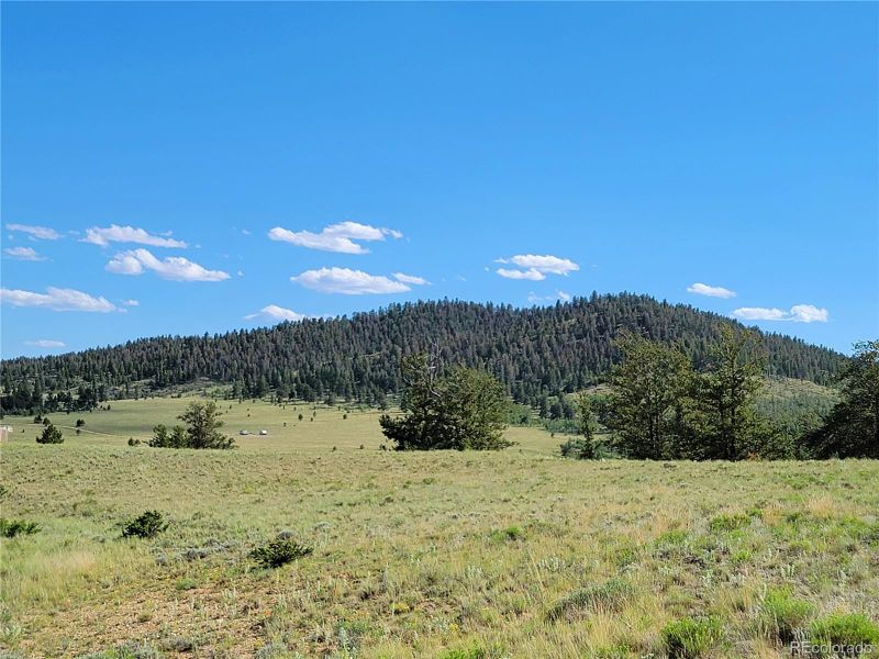 891 Cherokee Trl, Hartsel, CO 80449