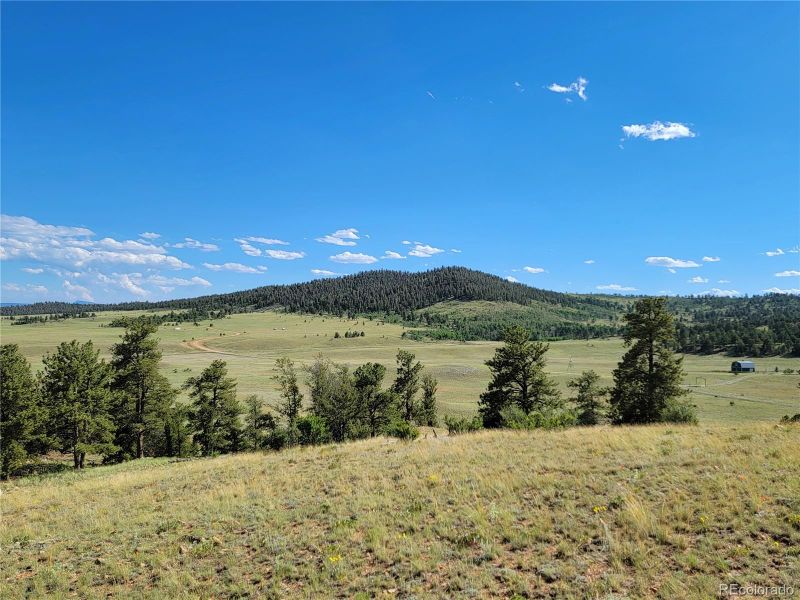 891 Cherokee Trl, Hartsel, CO 80449