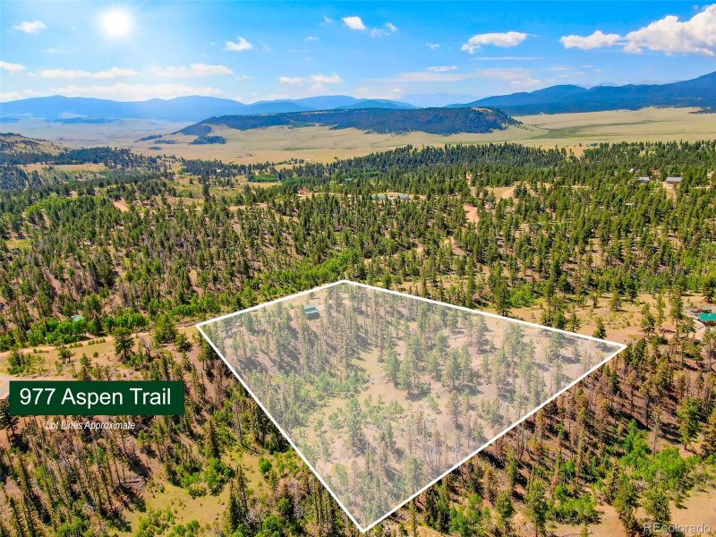 977 Aspen Trl, Hartsel, CO 80449