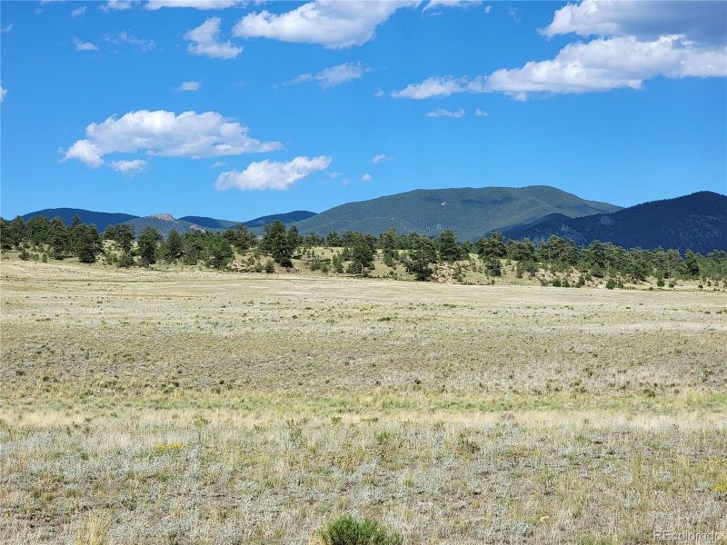 295 N Margaret Pl, Hartsel, CO 80449