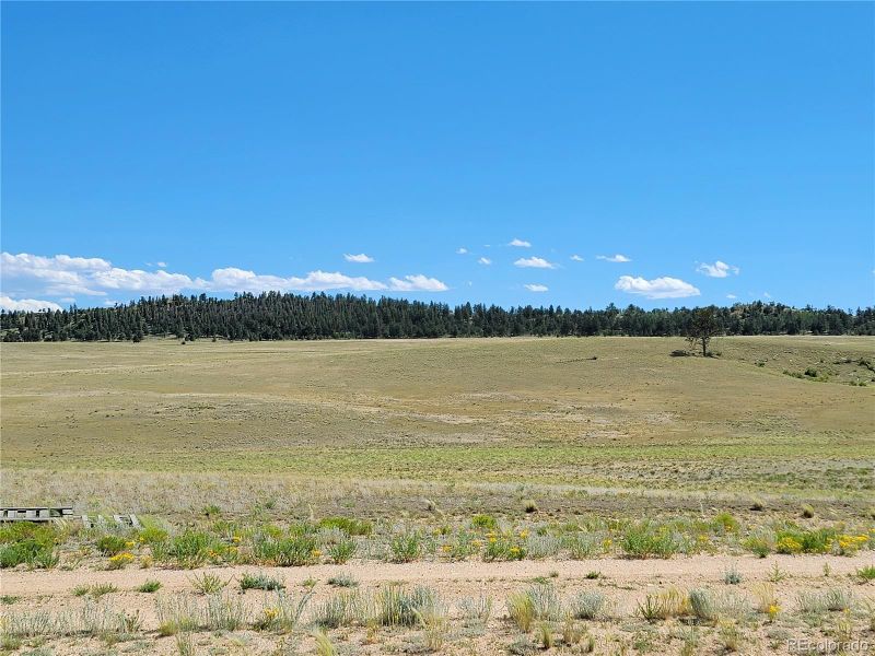 295 N Margaret Pl, Hartsel, CO 80449