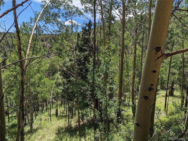 5854 Slegers Rd, Fort Garland, CO 81133