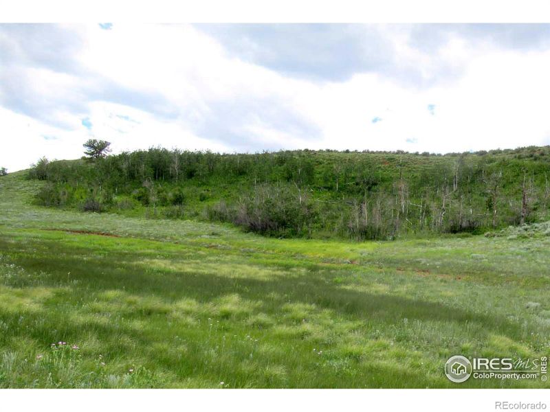 Plano Rd, Livermore, CO 80536