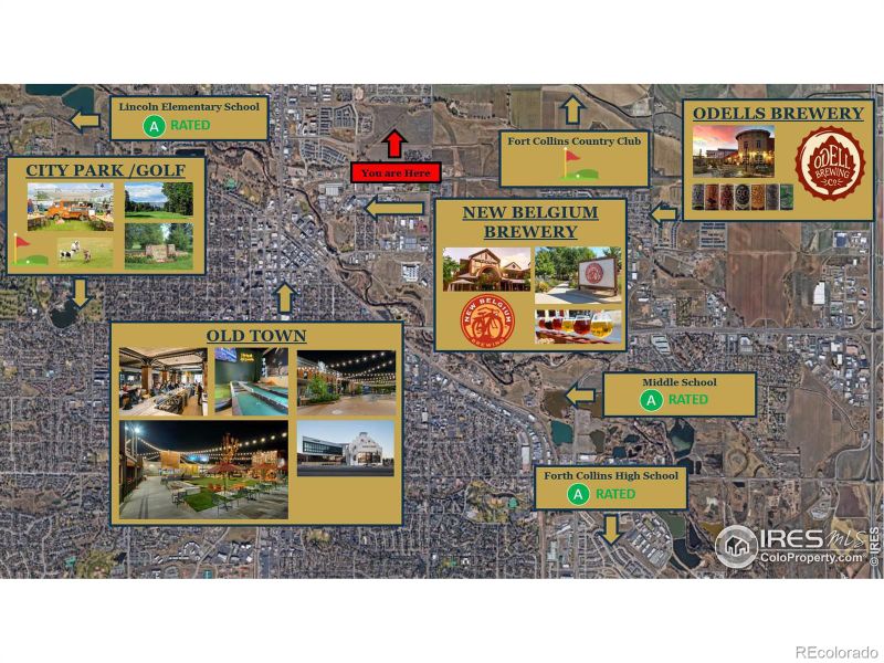 869 Birdwhistle Ln #4, Fort Collins, CO 80524