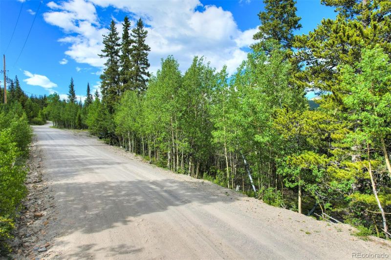 340 Mine Dump Rd, Alma, CO 80420