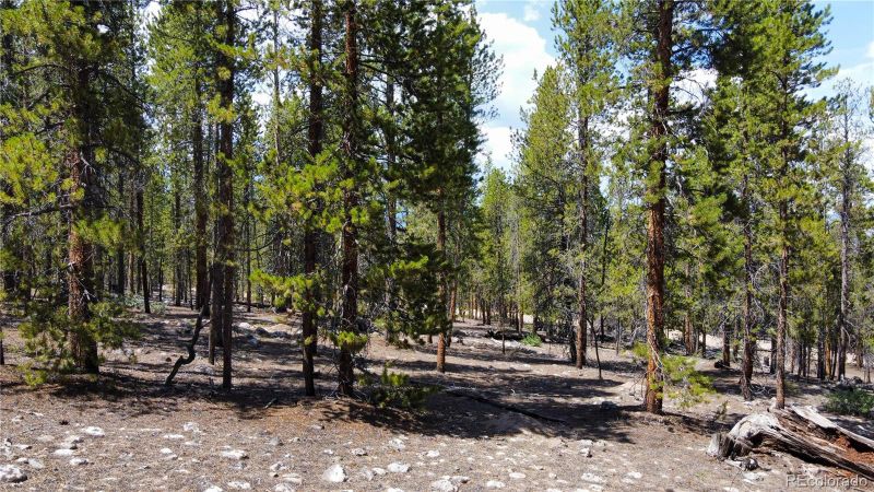 332 Mt Massive Dr Lot 70, Twin Lakes, CO 81251