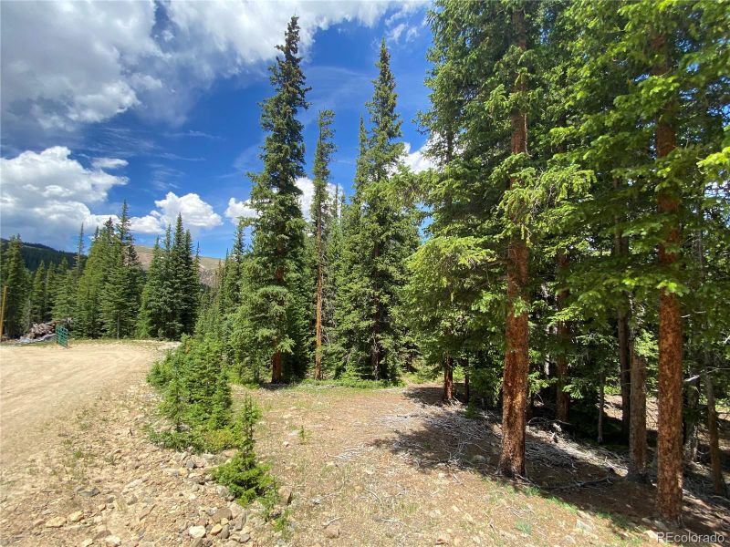548 Bum Dr Lot 893, Fairplay, CO 80440