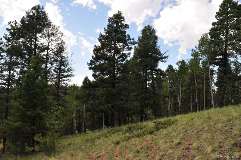 266 Mariposa Dr, Cripple Creek, CO 80813