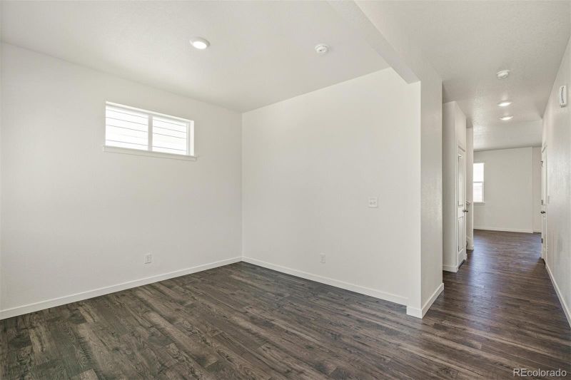 793 N Allium St, Watkins, CO 80137