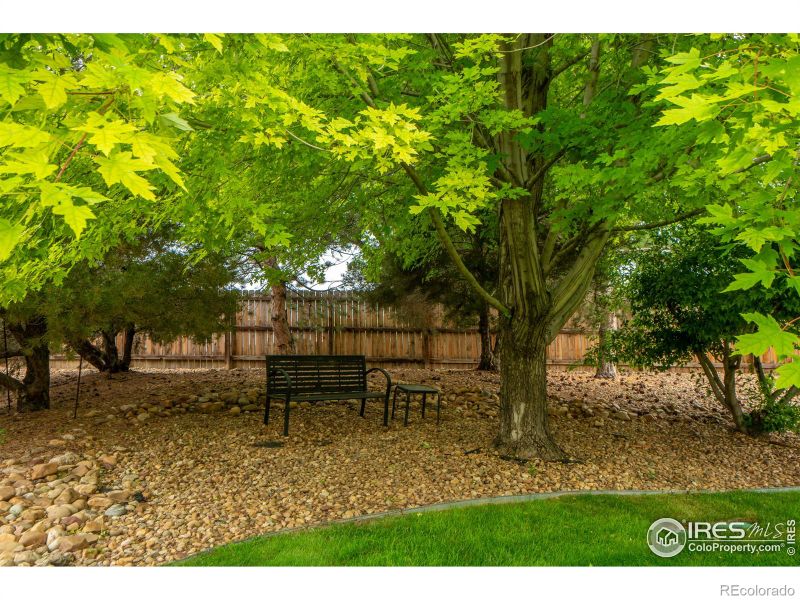 8031 Fox Hill Dr, Longmont, CO 80504