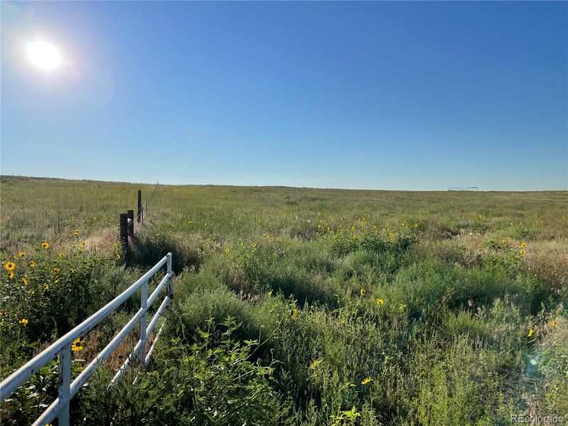 12910 Deter Winters Rd, Byers, CO 80103