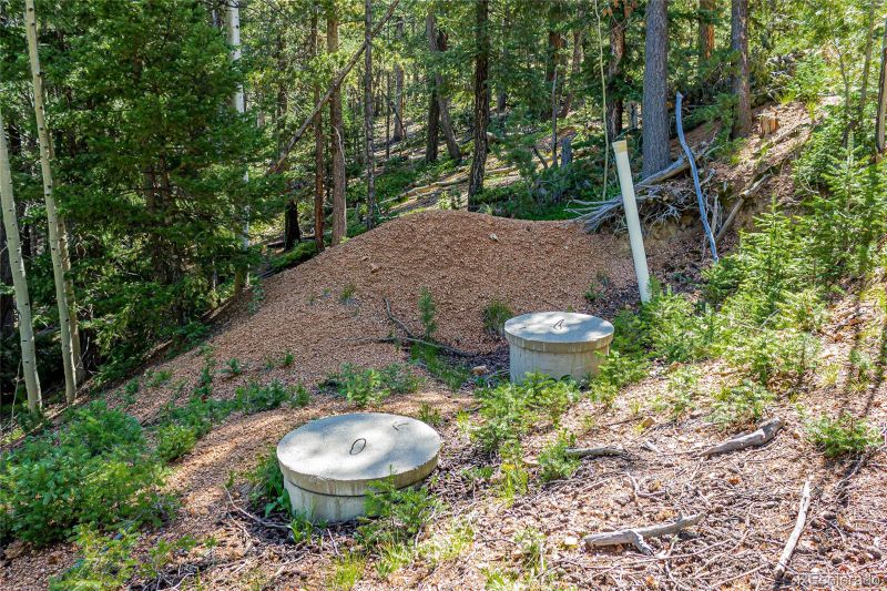 395 Paradiso Rd, Divide, CO 80814
