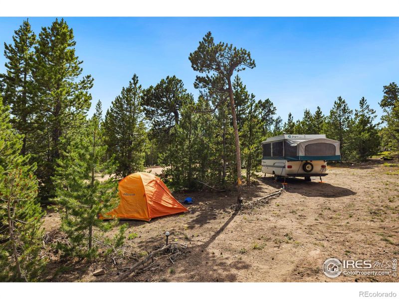 153 Catamount Ct, Red Feather Lakes, CO 80545