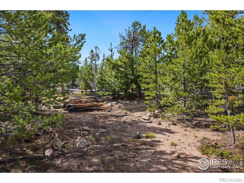 153 Catamount Ct, Red Feather Lakes, CO 80545