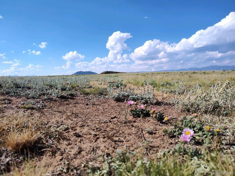Mockingbird Ln Lot 11, Hartsel, CO 80449