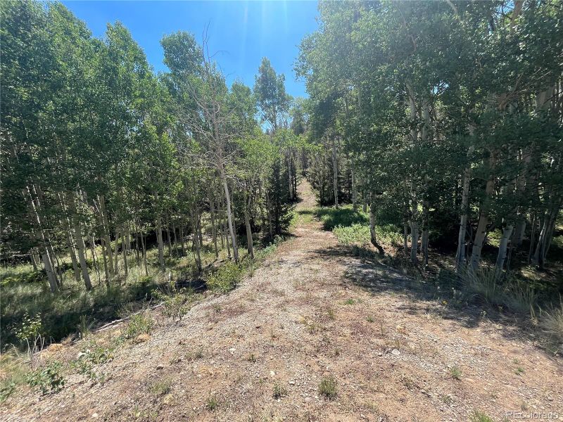 4056 Ranch Rd Lot 540, Hartsel, CO 80449