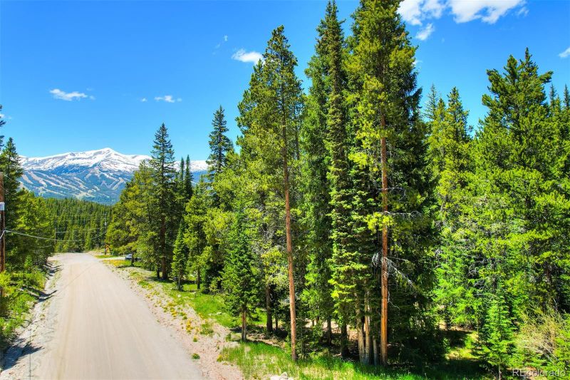 107 Scr 528, Breckenridge, CO 80424